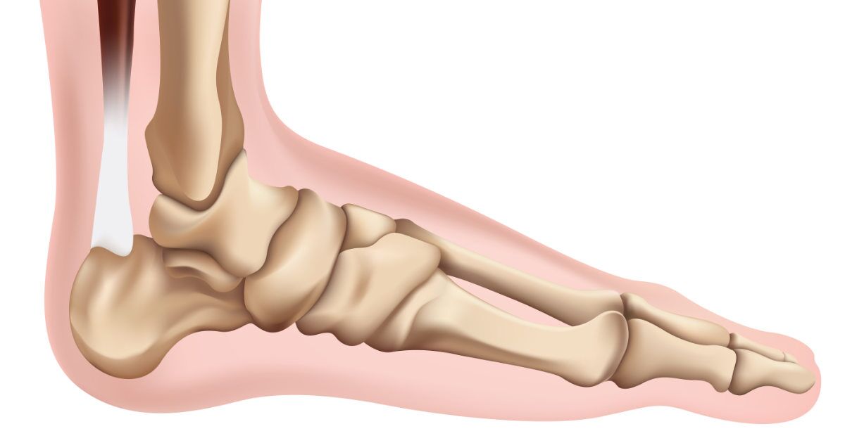 Your Foot Foundation In Yoga Postures - Yoganatomy