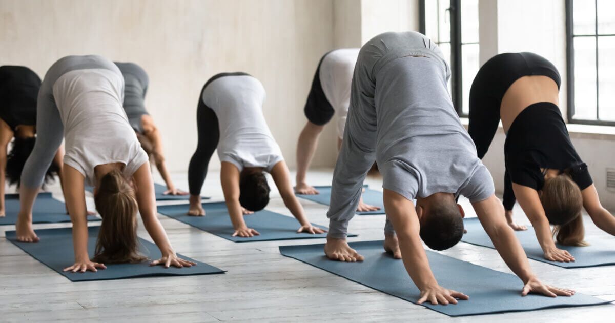 Your shoulders in downward facing dog What to do with them?