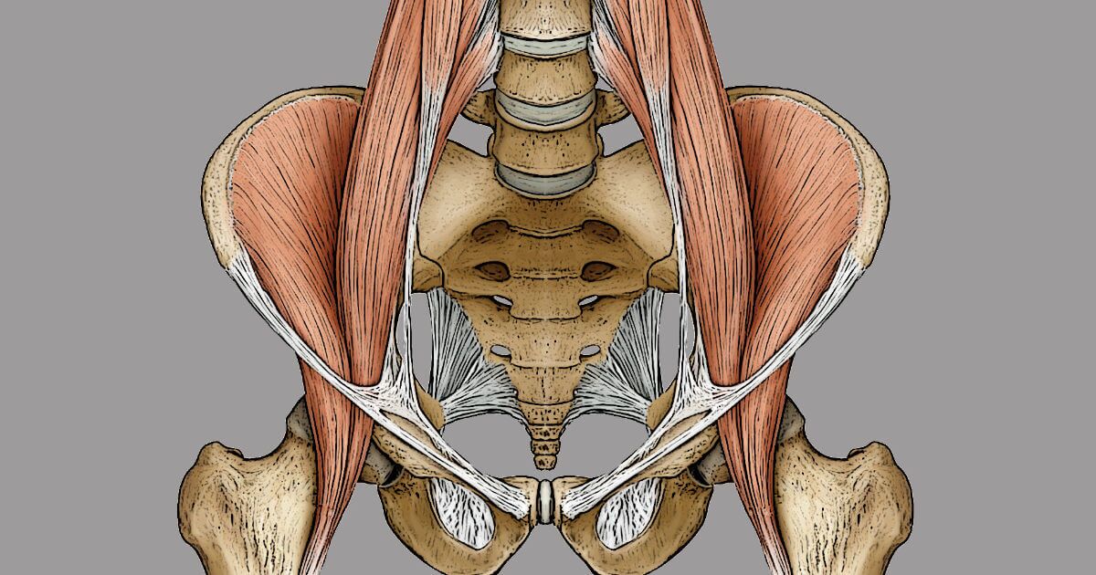 The Ultimate Guide to Female Low Back, Groin, Abdomen and Hip pain