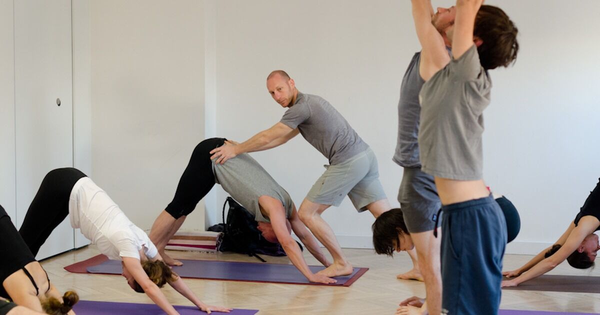 Yoga Anatomy Books, Videos, Courses, and Articles
