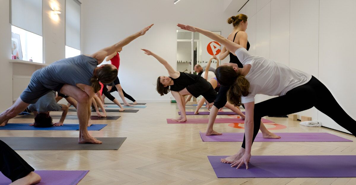 Yoga Anatomy Books, Videos, Courses, and Articles
