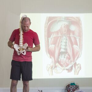 アナトミー　フォー　ヨガ Amazon.co.jp: Muscle and Asanas Gently Learn yogaanatomi
