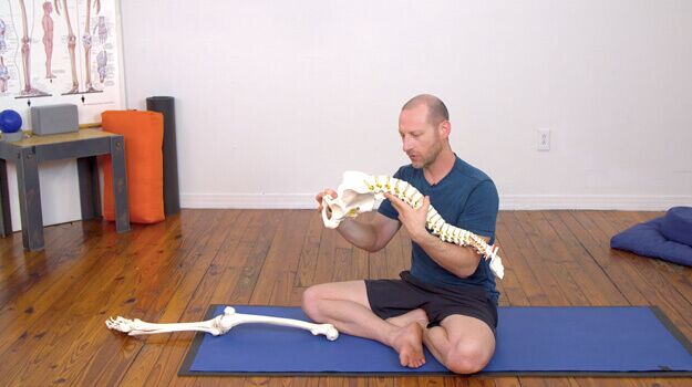 Yoga Anatomy Books, Videos, Courses, and Articles
